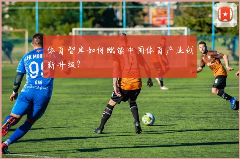 体育智库如何赋能中国体育产业创新升级？