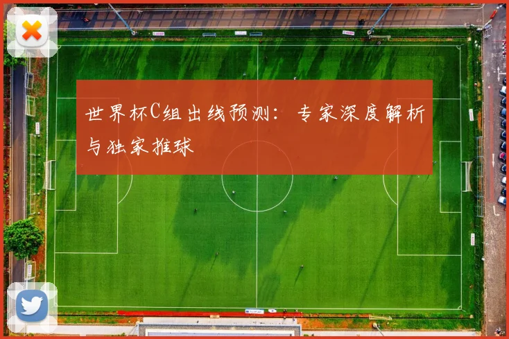 世界杯C组出线预测:专家深度解析与独家推球